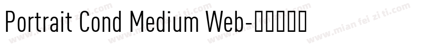 Portrait Cond Medium Web字体转换